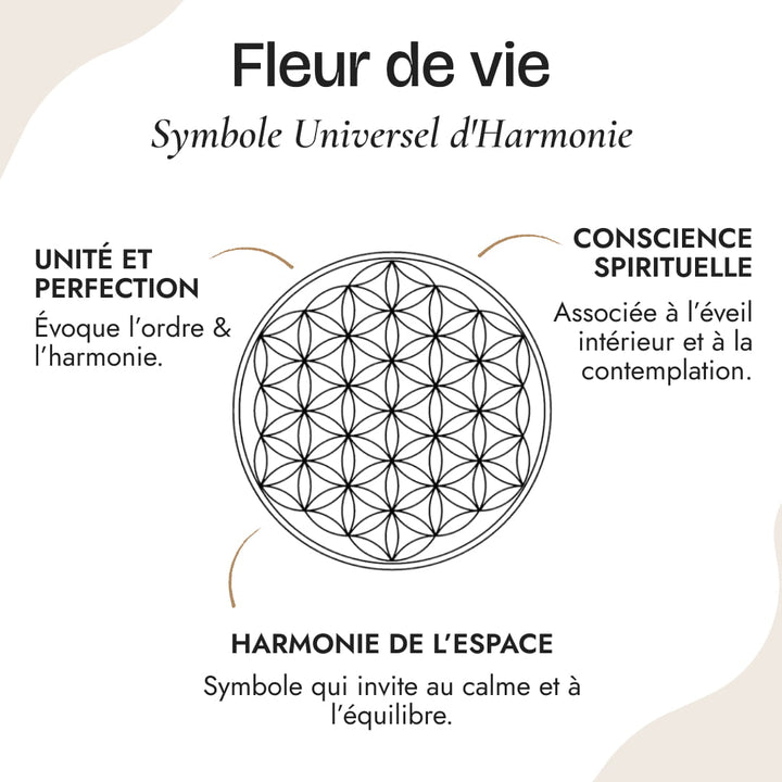 Orgonite Sérénité "7 Chakras"